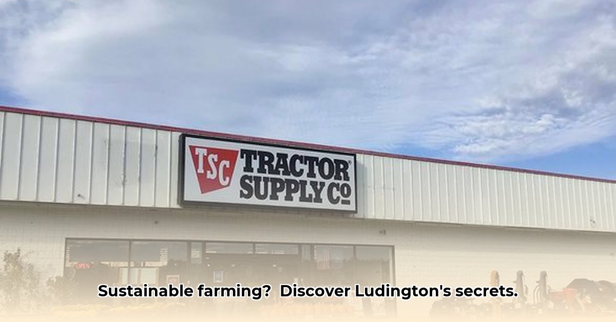 ludington-tractor-supply